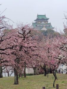 大阪城
