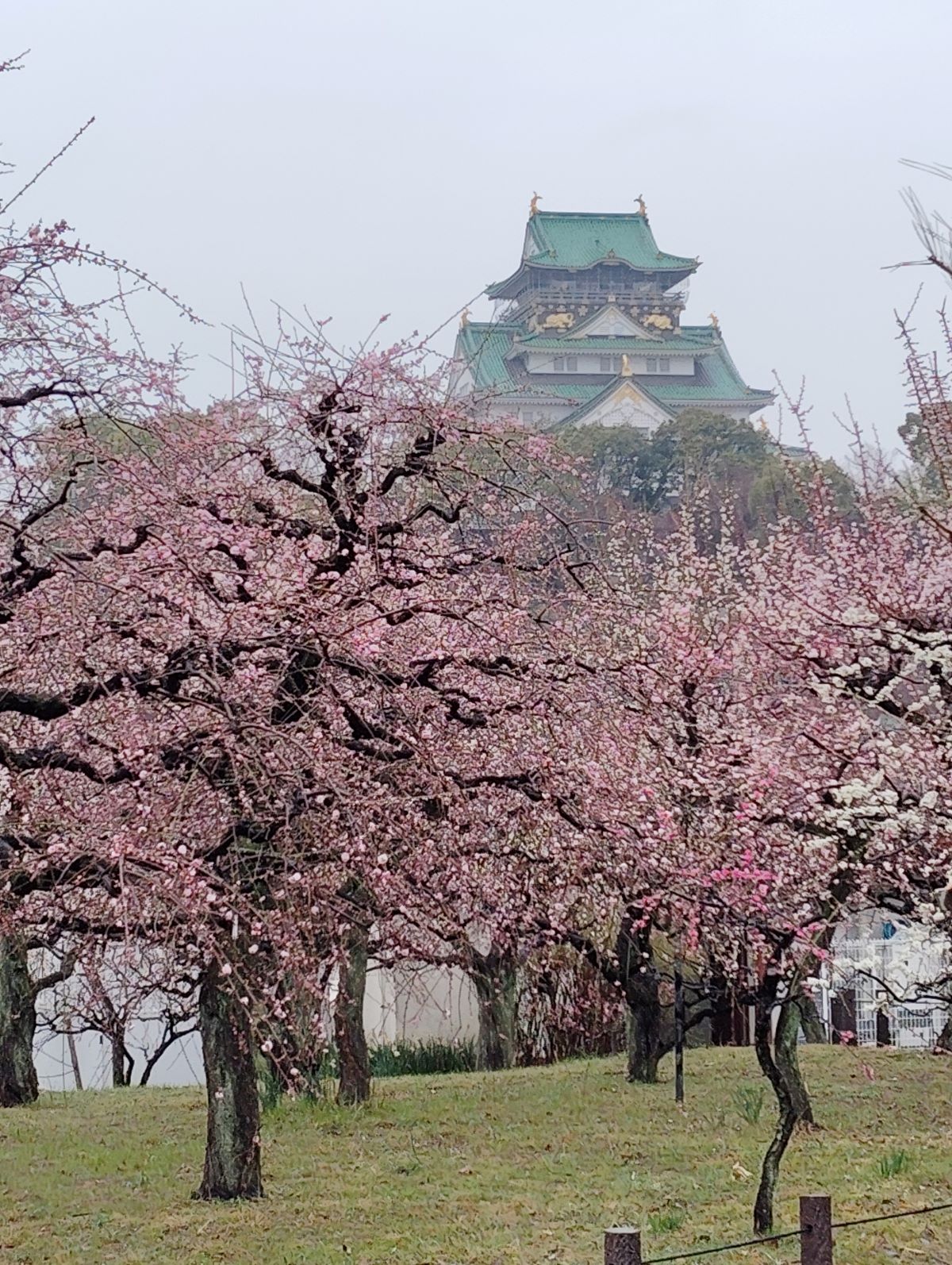 思い出