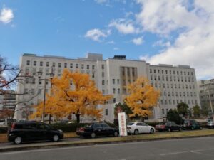 府庁と紅葉